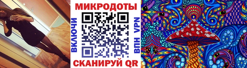 цена   Баймак  Галлюциногенные грибы Psilocybe 